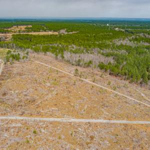 Photo #21 of SOLD property in Off Highway 15, Marston, NC 58.4 acres