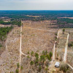 Photo #22 of SOLD property in Off Highway 15, Marston, NC 58.4 acres