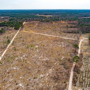 Photo #23 of SOLD property in Off Highway 15, Marston, NC 58.4 acres