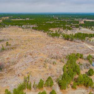 Photo #24 of Off Highway 15, Marston, NC 58.4 acres