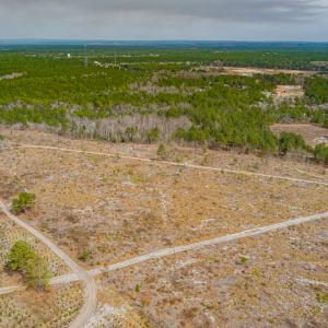 Photo #27 of Off Highway 15, Marston, NC 58.4 acres