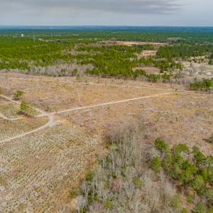 Photo #28 of SOLD property in Off Highway 15, Marston, NC 58.4 acres