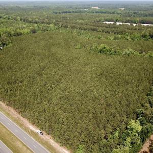 Photo #2 of SOLD property in Off Blue Star Hwy, Jarratt, VA 28.0 acres