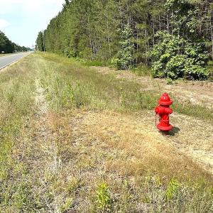 Photo #21 of SOLD property in Off Blue Star Hwy, Jarratt, VA 28.0 acres