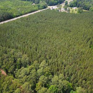Photo #3 of SOLD property in Off Blue Star Hwy, Jarratt, VA 28.0 acres