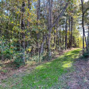 Photo #12 of Off Sids Mill Road, Fayetteville, NC 151.6 acres