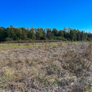 Photo #22 of Off Sids Mill Road, Fayetteville, NC 151.6 acres