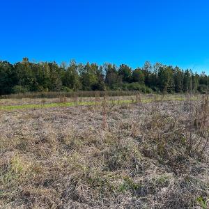 Photo #14 of Off Sids Mill Road, Fayetteville, NC 151.6 acres