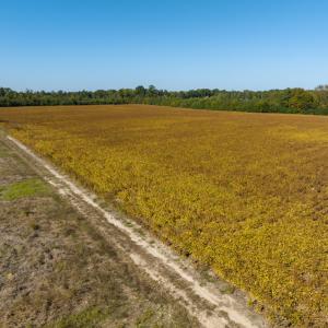 Photo #29 of Off Sids Mill Road, Fayetteville, NC 151.6 acres
