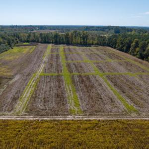 Photo #24 of SOLD property in Off Sids Mill Road, Fayetteville, NC 151.6 acres