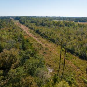 Photo #27 of Off Sids Mill Road, Fayetteville, NC 151.6 acres