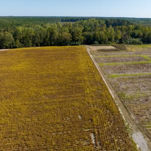 Photo #43 of Off Sids Mill Road, Fayetteville, NC 151.6 acres