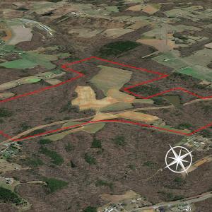 Photo #3 of 10281 Cherry Grove, Reidsville, NC 217.5 acres