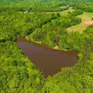 Photo #4 of 10281 Cherry Grove, Reidsville, NC 217.5 acres