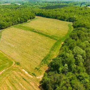 Photo #5 of 10281 Cherry Grove, Reidsville, NC 217.5 acres