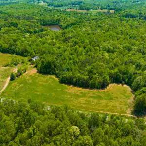 Photo #6 of 10281 Cherry Grove, Reidsville, NC 217.5 acres