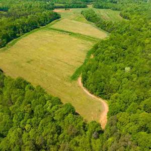Photo #8 of 10281 Cherry Grove, Reidsville, NC 217.5 acres