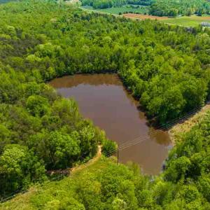 Photo #10 of 10281 Cherry Grove, Reidsville, NC 217.5 acres