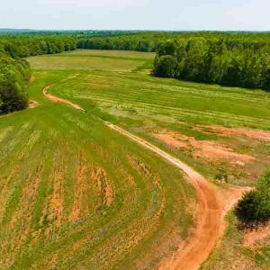 Photo #13 of 10281 Cherry Grove, Reidsville, NC 217.5 acres