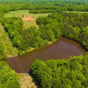 Photo #15 of 10281 Cherry Grove, Reidsville, NC 217.5 acres