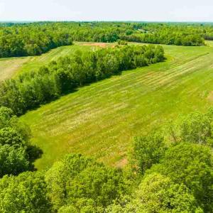 Photo #18 of 10281 Cherry Grove, Reidsville, NC 217.5 acres