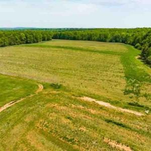 Photo #19 of 10281 Cherry Grove, Reidsville, NC 217.5 acres