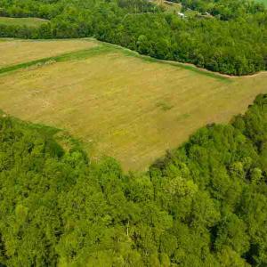 Photo #20 of 10281 Cherry Grove, Reidsville, NC 217.5 acres