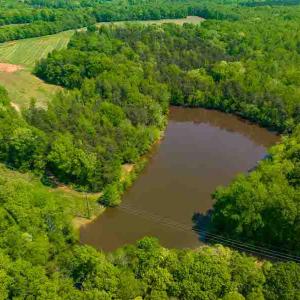Photo #21 of 10281 Cherry Grove, Reidsville, NC 217.5 acres