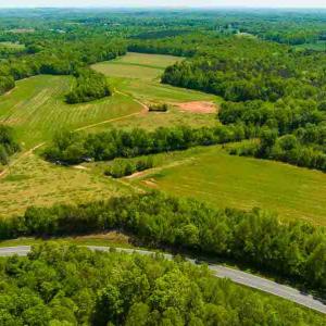 Photo #22 of 10281 Cherry Grove, Reidsville, NC 217.5 acres