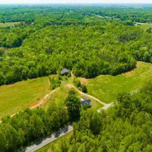 Photo #24 of 10281 Cherry Grove, Reidsville, NC 217.5 acres