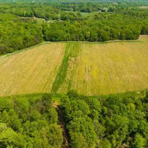 Photo #26 of 10281 Cherry Grove, Reidsville, NC 217.5 acres