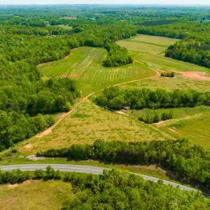 Photo #27 of 10281 Cherry Grove, Reidsville, NC 217.5 acres