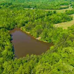 Photo #28 of 10281 Cherry Grove, Reidsville, NC 217.5 acres