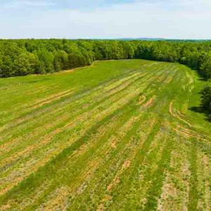 Photo #29 of 10281 Cherry Grove, Reidsville, NC 217.5 acres