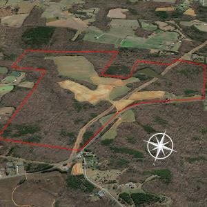 Photo #30 of 10281 Cherry Grove, Reidsville, NC 217.5 acres