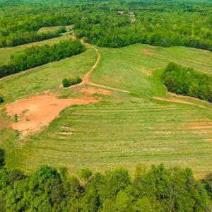Photo #32 of 10281 Cherry Grove, Reidsville, NC 217.5 acres