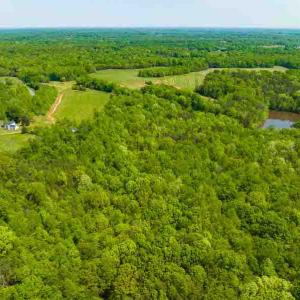 Photo #33 of 10281 Cherry Grove, Reidsville, NC 217.5 acres