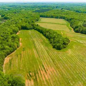 Photo #34 of 10281 Cherry Grove, Reidsville, NC 217.5 acres