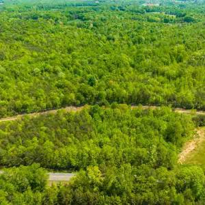 Photo #35 of 10281 Cherry Grove, Reidsville, NC 217.5 acres