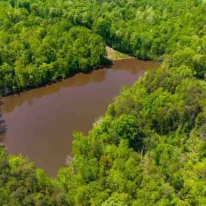 Photo #36 of 10281 Cherry Grove, Reidsville, NC 217.5 acres