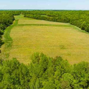 Photo #40 of 10281 Cherry Grove, Reidsville, NC 217.5 acres