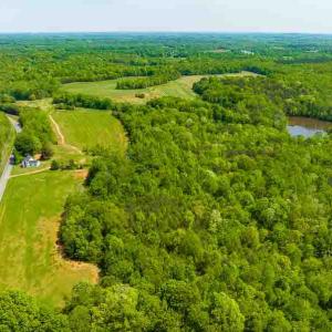 Photo #43 of 10281 Cherry Grove, Reidsville, NC 217.5 acres