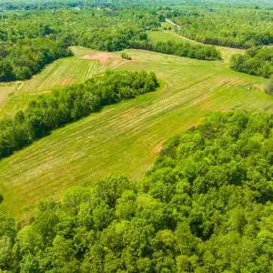 Photo #47 of 10281 Cherry Grove, Reidsville, NC 217.5 acres