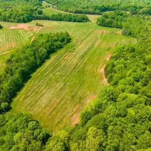 Photo #52 of 10281 Cherry Grove, Reidsville, NC 217.5 acres