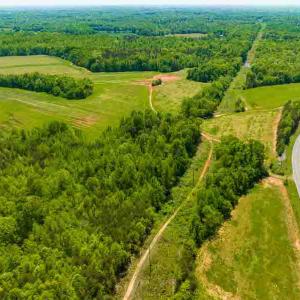 Photo #53 of 10281 Cherry Grove, Reidsville, NC 217.5 acres