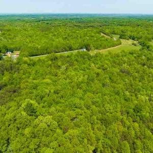 Photo #54 of 10281 Cherry Grove, Reidsville, NC 217.5 acres