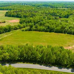 Photo #55 of 10281 Cherry Grove, Reidsville, NC 217.5 acres