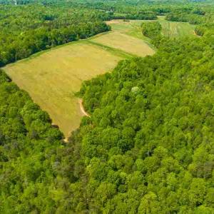 Photo #56 of 10281 Cherry Grove, Reidsville, NC 217.5 acres