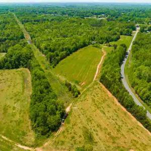 Photo #57 of 10281 Cherry Grove, Reidsville, NC 217.5 acres
