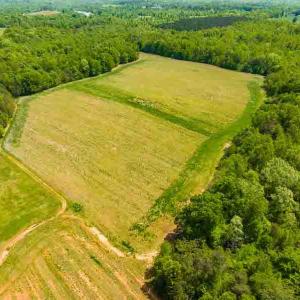 Photo #58 of 10281 Cherry Grove, Reidsville, NC 217.5 acres